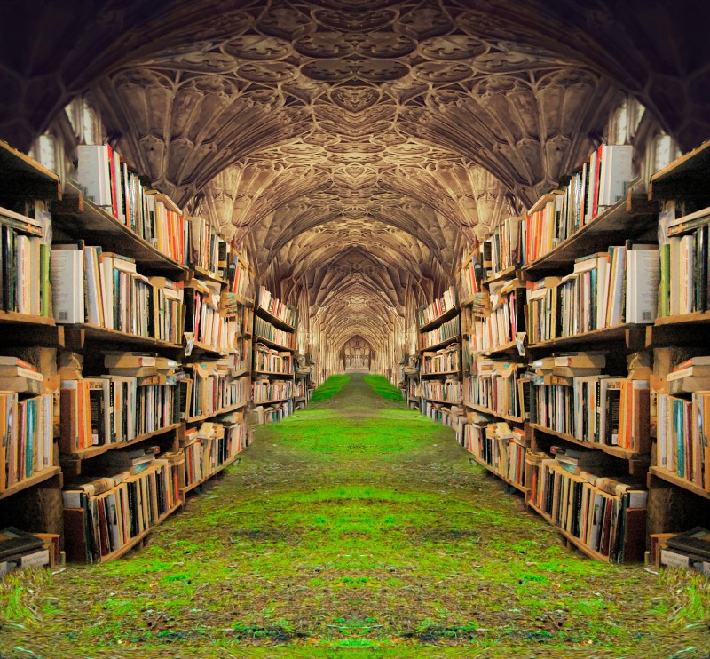books-5430309_1920.jpg